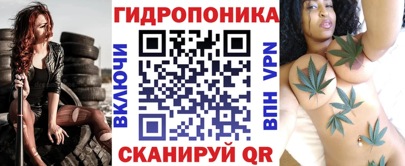 blacksprut зеркало  Волосово  Шишки марихуана Amnesia 